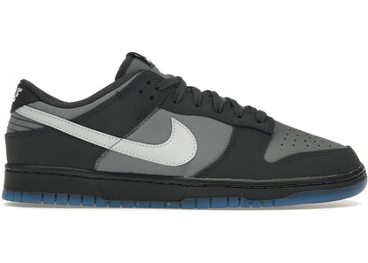 Nike Dunk Low Anthracite - FV0384-001